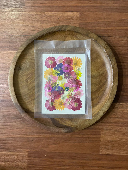 Pressed Flowers for Resin Art and Craft - Pack of 40