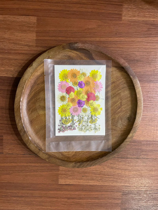 Pressed Flowers for Resin Art and Craft Projects - Pack of 40
