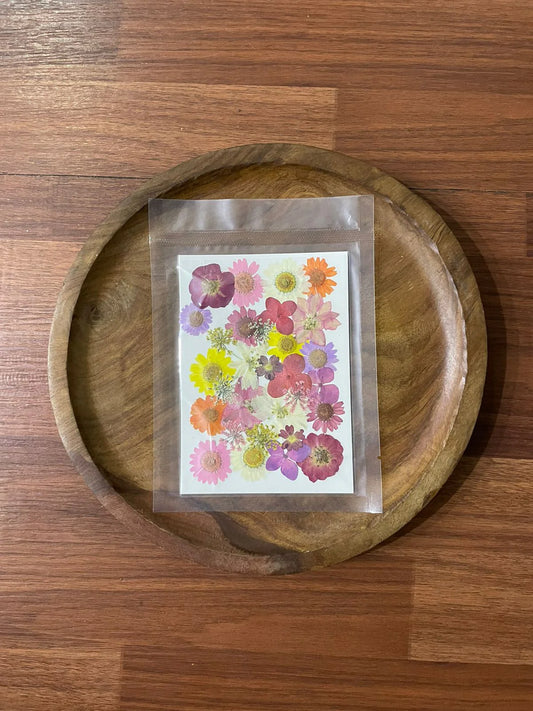 Pressed Flowers for Resin Art and Craft Projects - Pack of 40